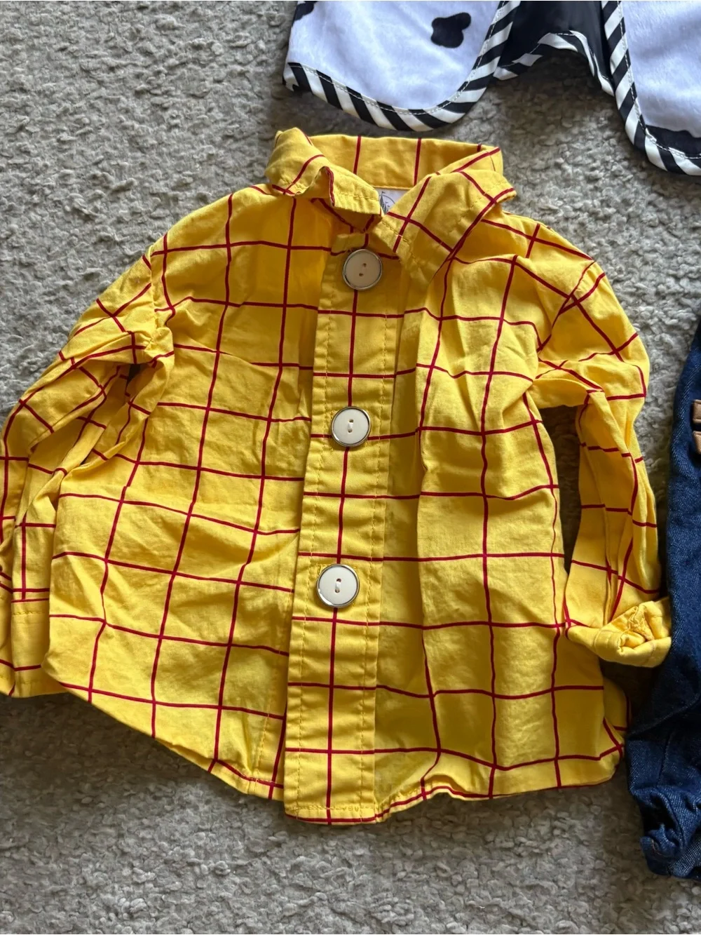 Disney woody costume
